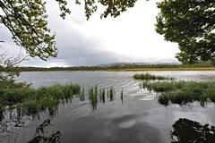 Scenic view of Prestvannet lake surrounded by trees in Tromsø