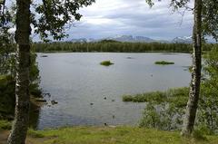 Scenic view of Prestvannet lake park in Tromsø with diverse birdlife and mountains in the southwest