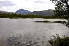 View of Prestvannet lake in Tromsø with diverse birdlife and scenic landscape