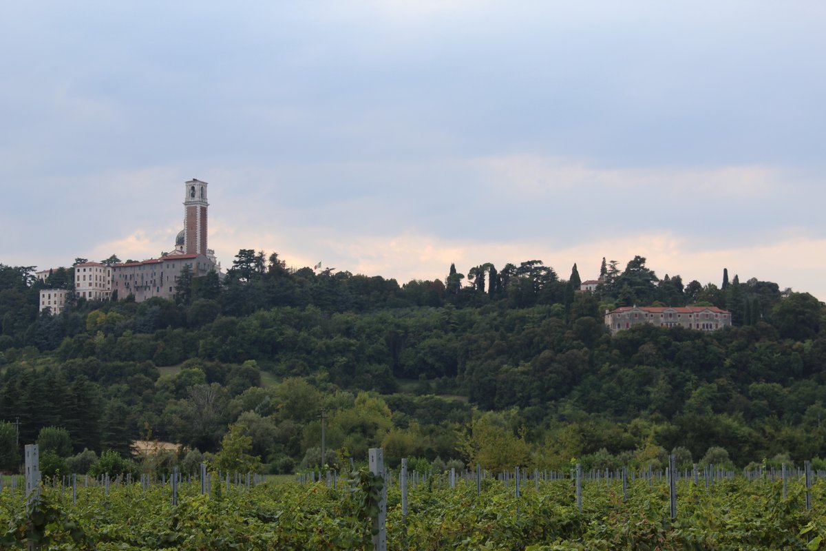 Remote view of Santuario della Madonna di Monte Berico basilica on a hill