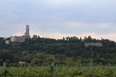 Remote view of Santuario della Madonna di Monte Berico basilica on a hill