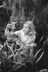Girl holding an orchid at the International Orchid Exhibition in Royal Tropical Institute Amsterdam 1971