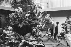 International Orchid Exhibition at Royal Tropical Institute Amsterdam black and white photograph
