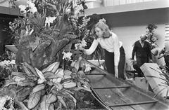 International orchid exhibition at the Royal Tropical Institute Amsterdam in 1971 black and white photo