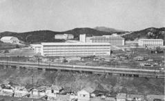 Yonsei University