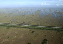 Aerial view looking north at Water Conservation Area 3a from Everglades National Park showing wetlands and water bodies