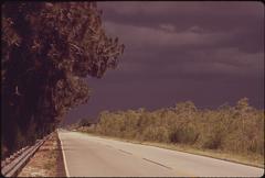 Historic black and white photograph of a U.S. Route 41 road sign on a rural highway