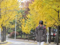 Sungkyunkwan University