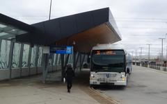 Bus platform at Pioneer Village Terminal with several YRT buses