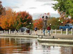 |
  Dow'S Lake