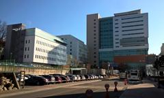 Catholic University Of Korea