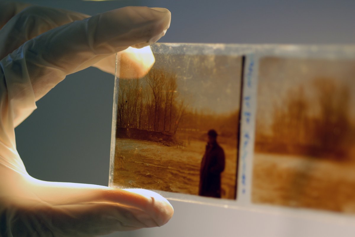 Glass plates from Fonds Louis Mengaud at Muséum de Toulouse