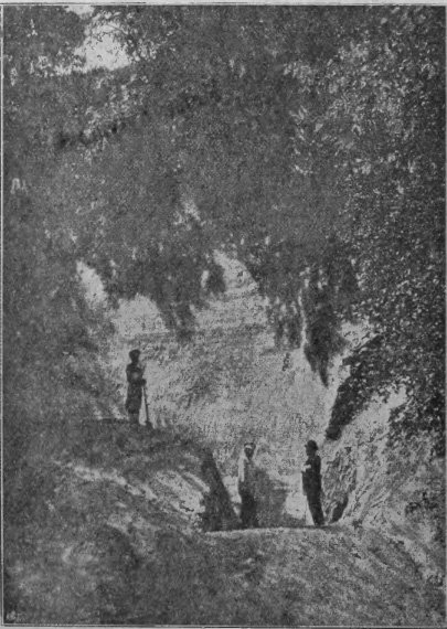 Cliff on Kirilivska Street in Kyiv with the oldest traces of human life in Ukraine