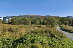 Park in the southern part of Tromsø with green spaces and trees