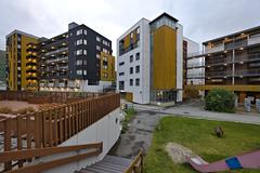 Neighborhood at Hjalmar Johansens gate in Tromsø with residential buildings and autumn trees