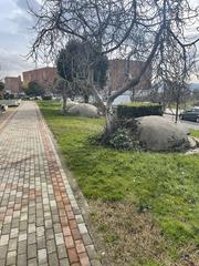 University Of Tirana