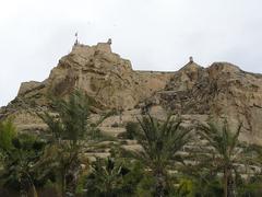 View of Parque de la Ereta and Castillo de Santa Bárbara in Alicante