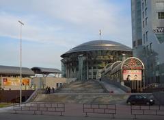 Music House in Krasnye Holmy
