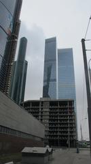 Oko