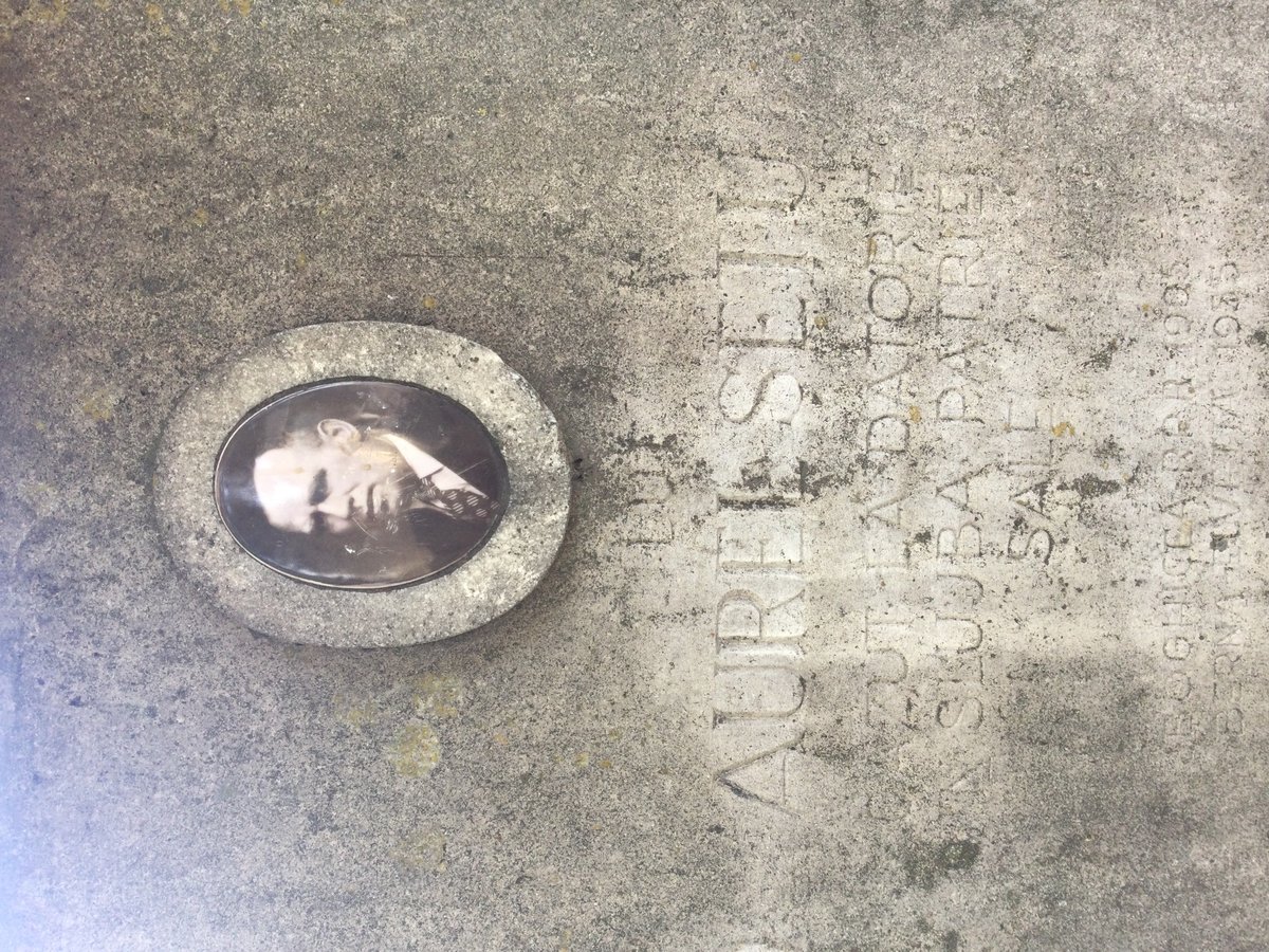 Grave of Aurel Șețu