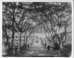 Hawaiian Hotel grounds with tropical plants and pathways in Honolulu