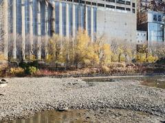Jardins des Écluses park in Montreal with colorful flower gardens and green trees