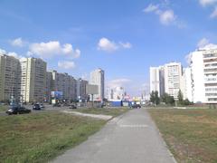 Petra Hryhorenka Avenue
