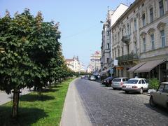 Panoramic view of Lviv city with historical buildings and greenery under cloudy sky