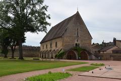 Abbaye de Cluny historic abbey ruins
