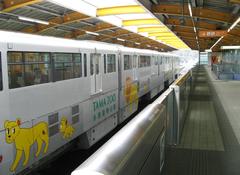 Tama Monorail train cars painted with lion designs at Tama Dobutsu Kouen Station