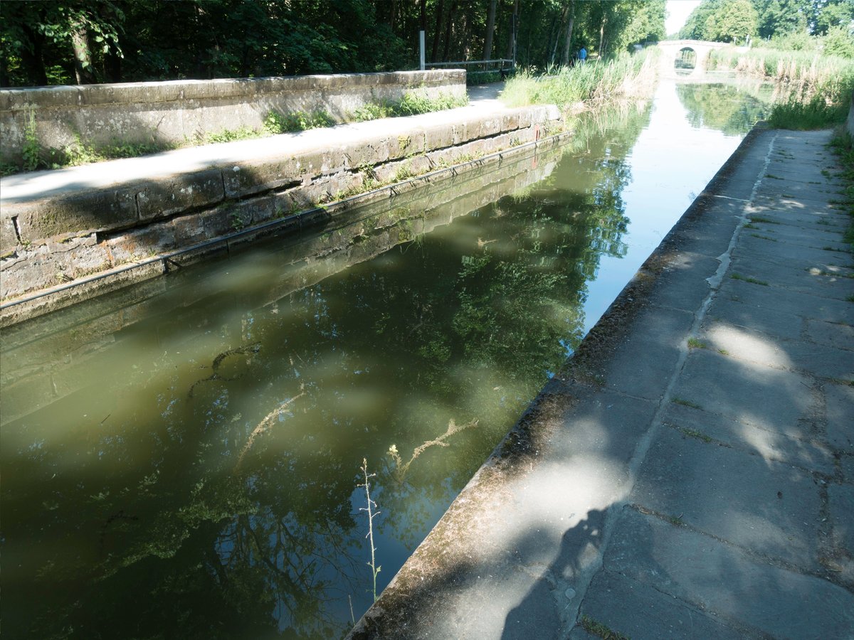 Bridge canal over the Gauchsbach stream with lush greenery and clear water