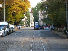 Street view of Pidzamche neighborhood in Lviv with old buildings and parked cars