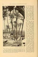 Cover page of The National Geographic Magazine featuring a panoramic view of a natural landscape with mountains, trees, and a river