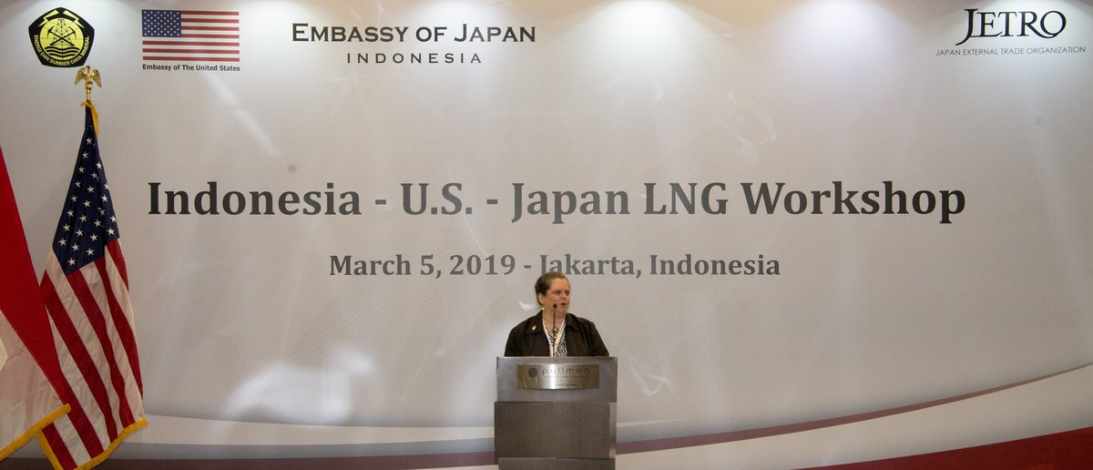 Workshop on LNG energy collaboration between Indonesia, US, and Japan in March 2019