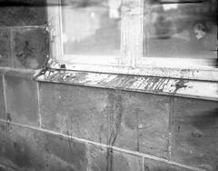 Window of Althingi with mud smeared, symbolizing protest against NATO membership in 1949