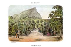 Historic map of Jardim Botânico do Rio de Janeiro from 1856 by Bertichem