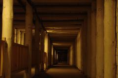 Wieliczka salt mine entrance in Poland surrounded by trees and greenery