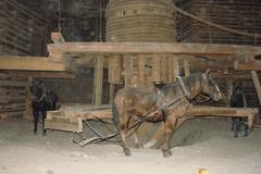 Historic Wieliczka Salt Mine underground chambers with wooden stairs and visitors