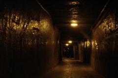 Wieliczka Salt Mine entrance in Poland surrounded by greenery