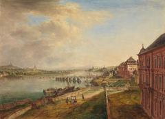 View of the Rhine River near Mainz with historical buildings and landscape