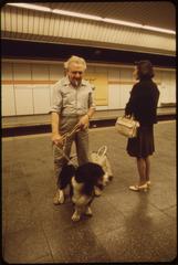 Vintage public transportation sign allowing dogs with one third full fare and free ride for seeing-eye dogs