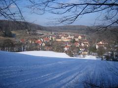 Winter panorama of Bebenhausen with snowy landscape and historical buildings