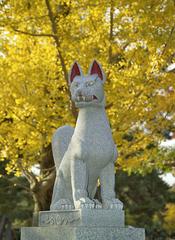 Stone fox statue at Inari Shintō shrine near Todai Temple in Nara, Japan
