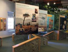 Inside the Grassy Hollow Visitor Center with interactive and tactile exhibits