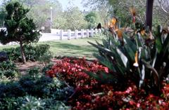 Flowers in Via Marisol Park along historic Arroyo Seco Parkway with wooden guardrail in California