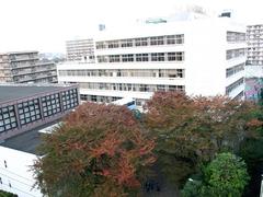 Shibaura Institute Of Technology