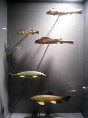 Collection of late 19th century fish decoys at the American Folk Art Museum in New York City