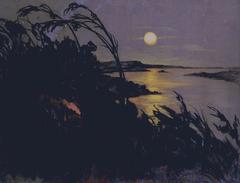 Australian landscape painting by Witkacy