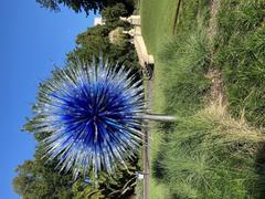 Blown glass and steel sculpture Sapphire Star at Adelaide Botanic Gardens