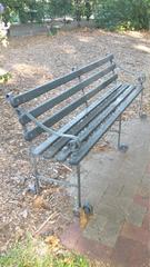 Wooden bench in Adelaide Botanical Gardens surrounded by lush greenery and flowers